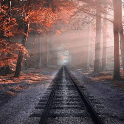 eisenbahn, wald, bäume, schienen, herbst, farben, dunst, nebel, natur, sonnenstrahlen, naturtapete, zoom-hintergrund